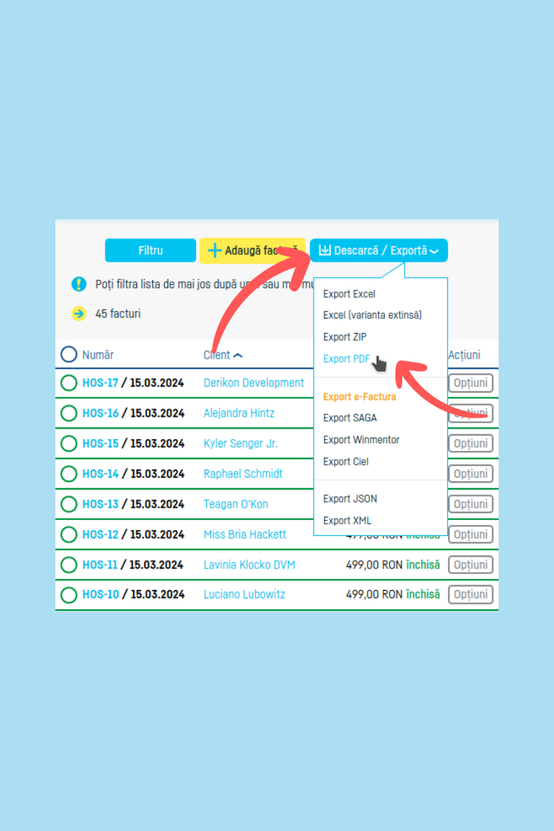 Cum export mai multe facturi odată - pasul 4