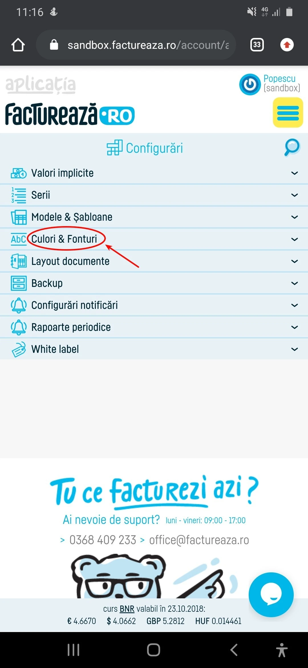 Cum schimb aspectul unei facturi? - pasul 2