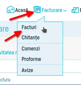 Cum adaug o plată pe factură - pasul 3